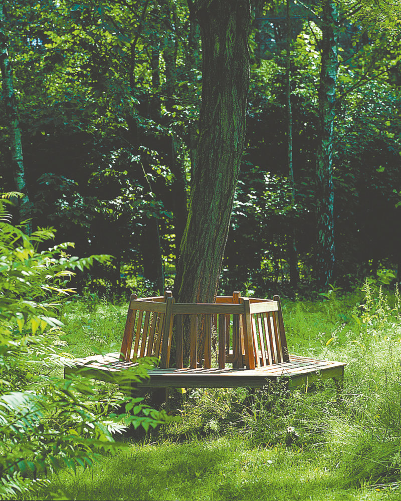 cotswold-around-the-tree-bench